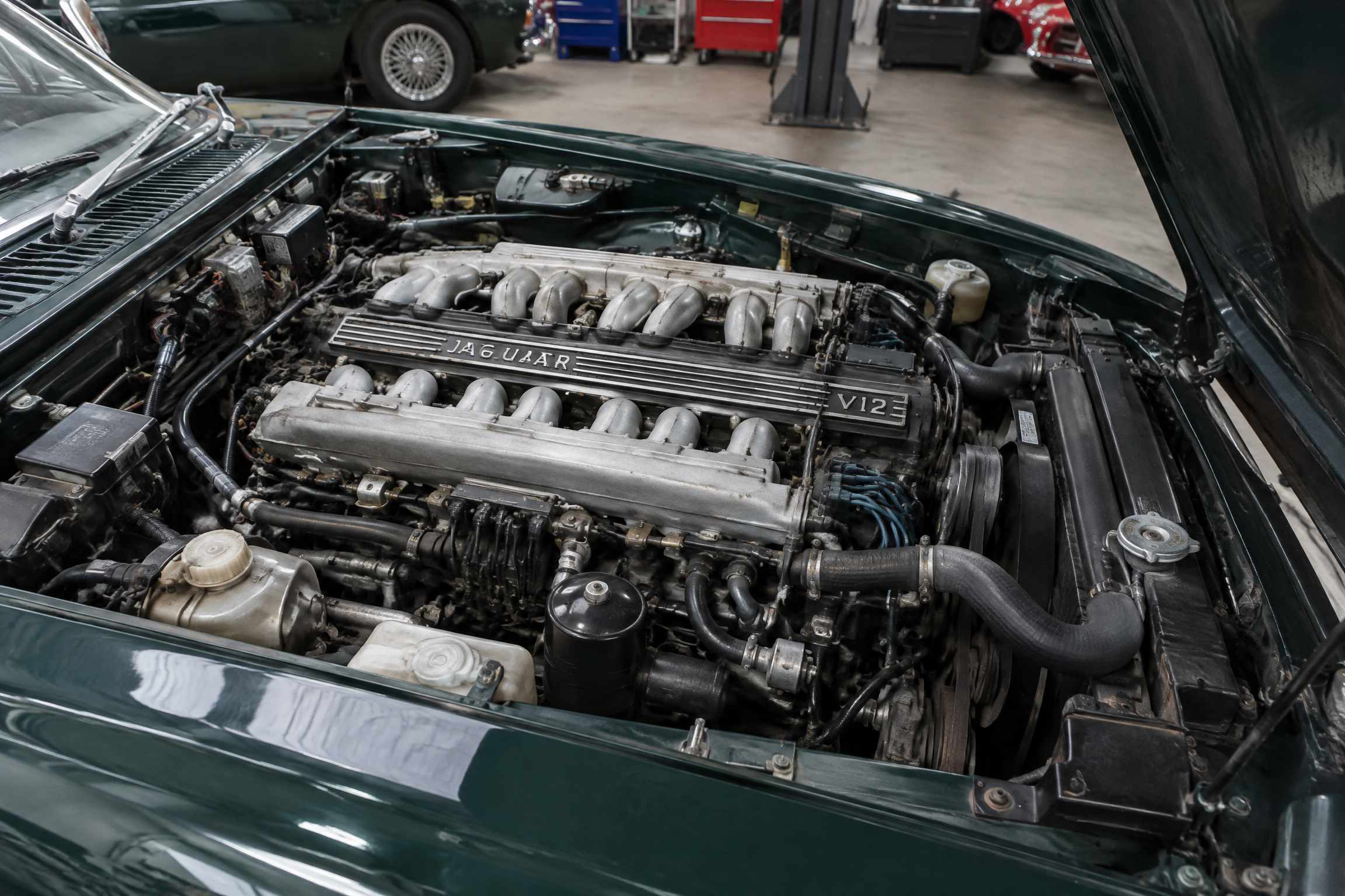 jaguar_53_v12_xjs