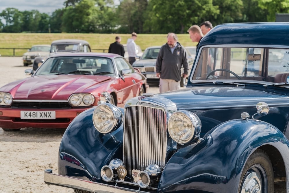 shutterstock_2625243493