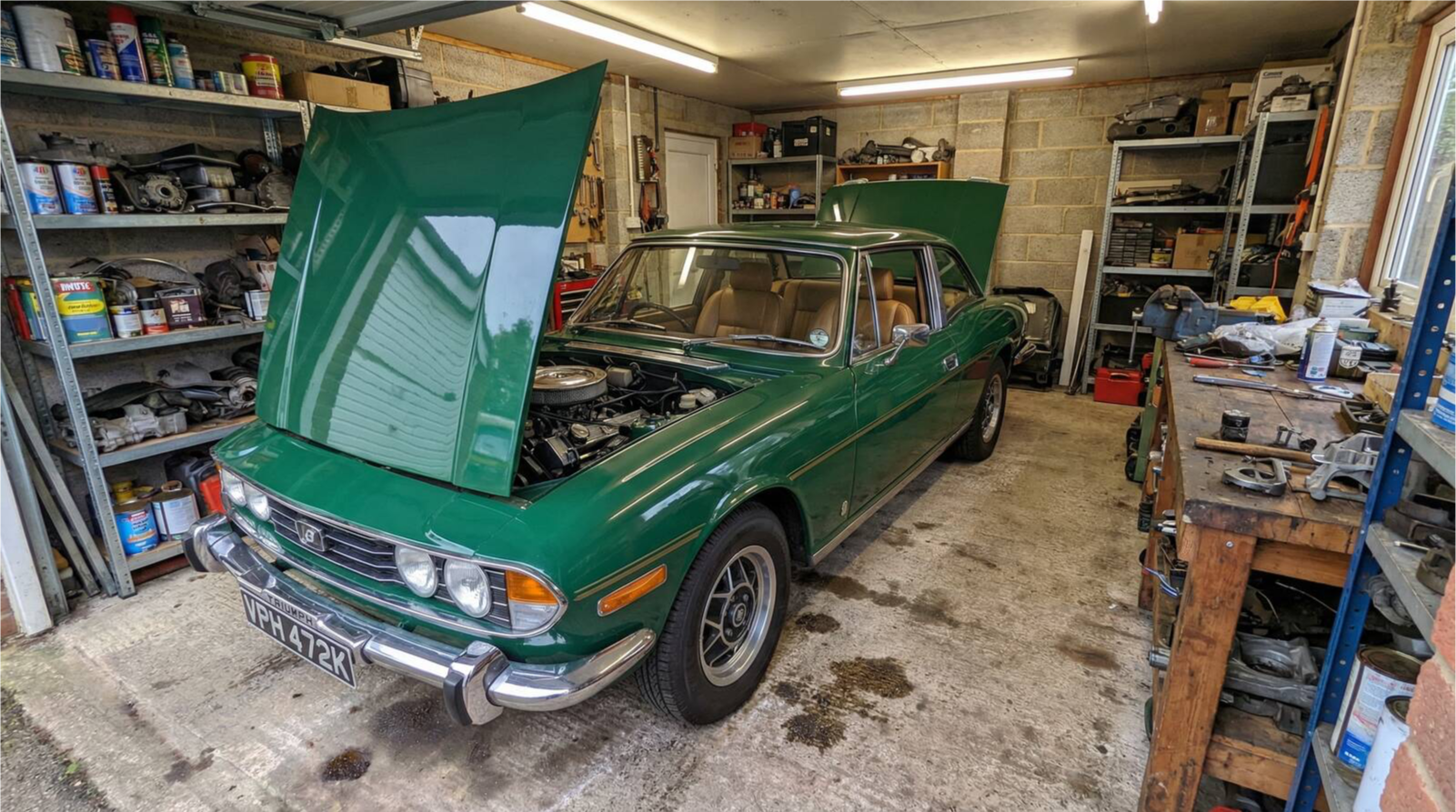 triumph_stag_final_v3